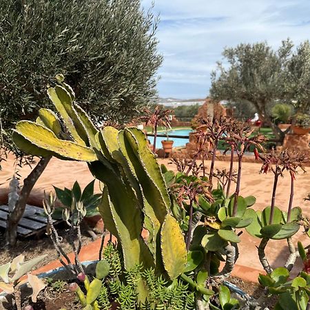 Olivares Rural Los Albaricoques 外观 照片