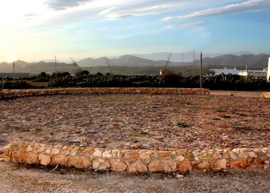 Olivares Rural Los Albaricoques 外观 照片
