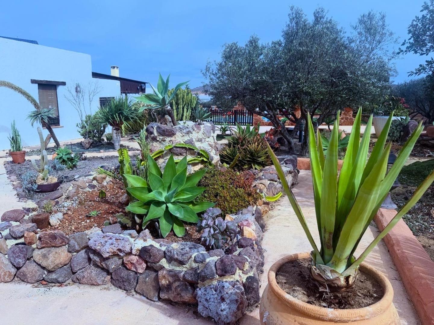 Olivares Rural Los Albaricoques 外观 照片