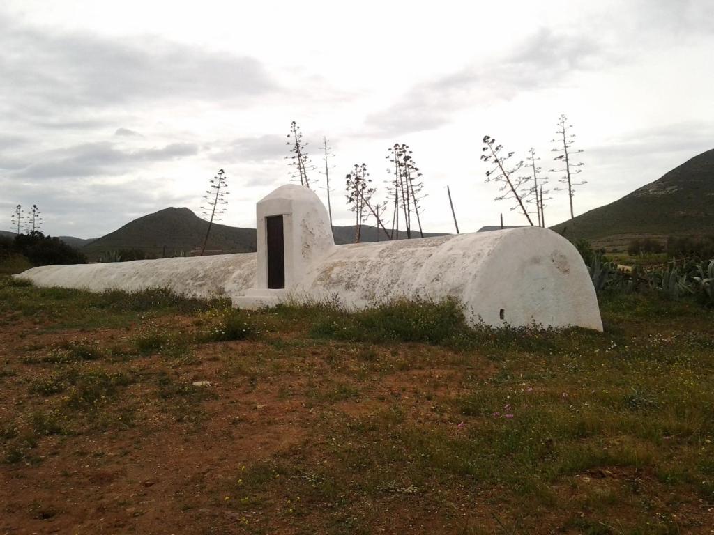 Olivares Rural Los Albaricoques 外观 照片