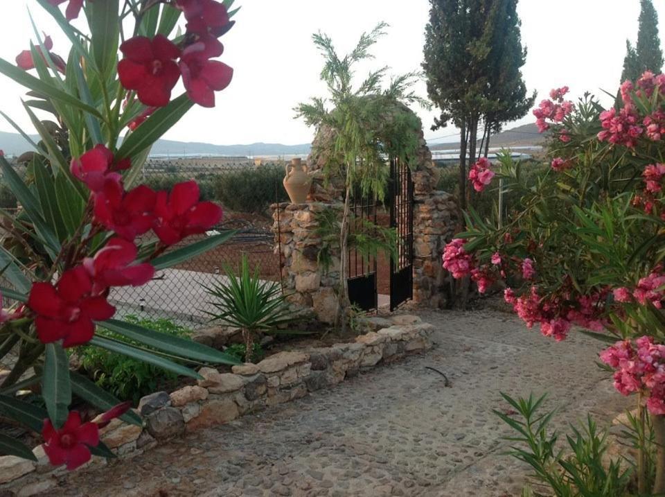 Olivares Rural Los Albaricoques 外观 照片