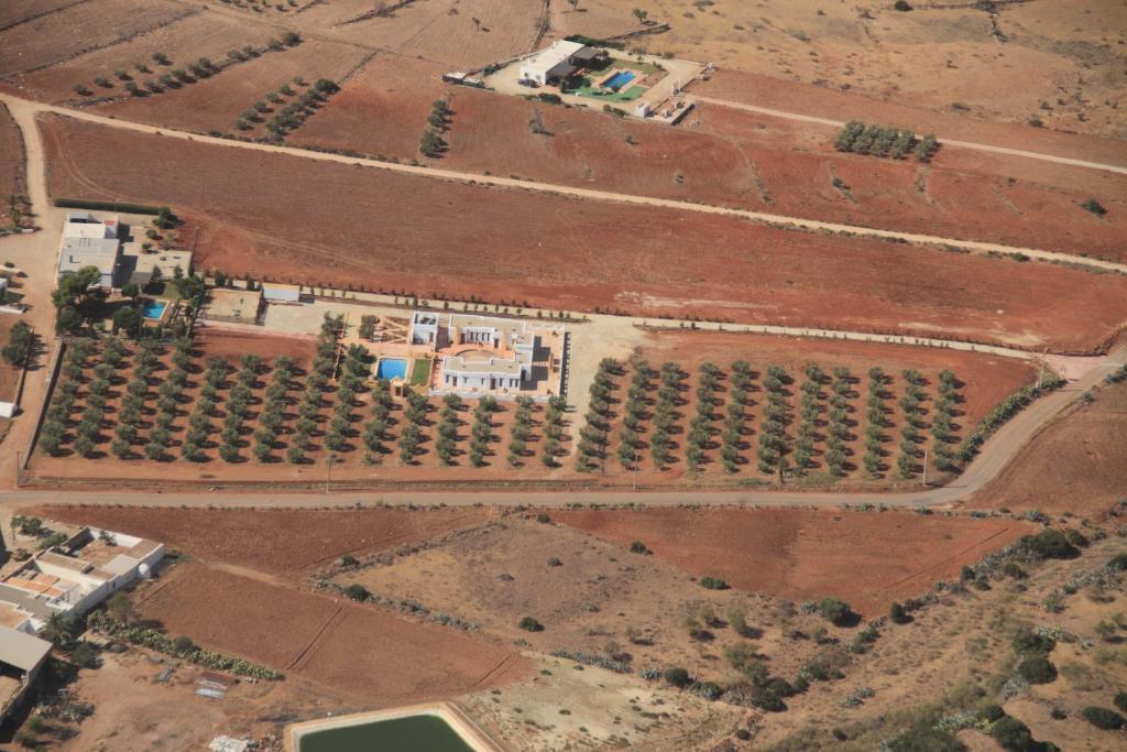 Olivares Rural Los Albaricoques 外观 照片