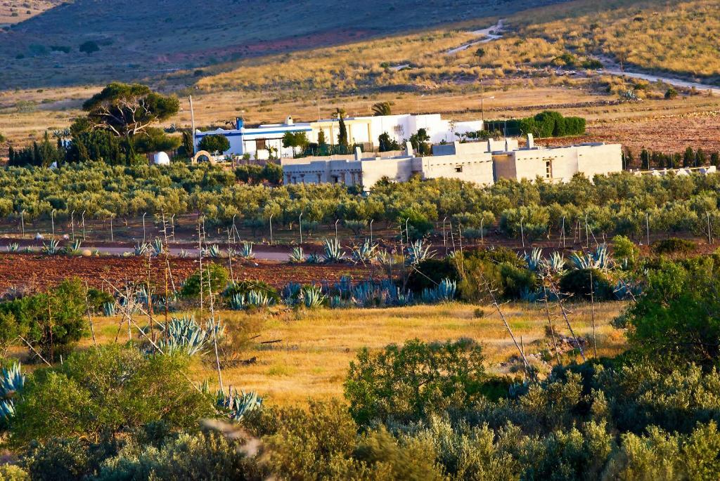 Olivares Rural Los Albaricoques 外观 照片